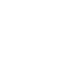 Partner & Sponsors